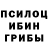 Псилоцибиновые грибы Magic Shrooms DJ Aligator
