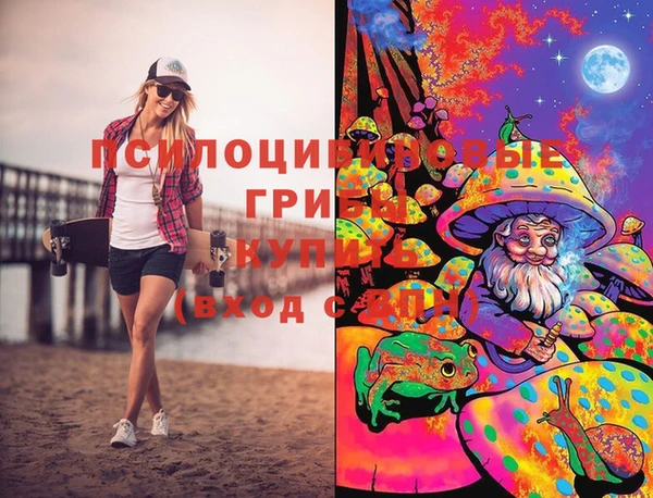 метамфетамин Богданович
