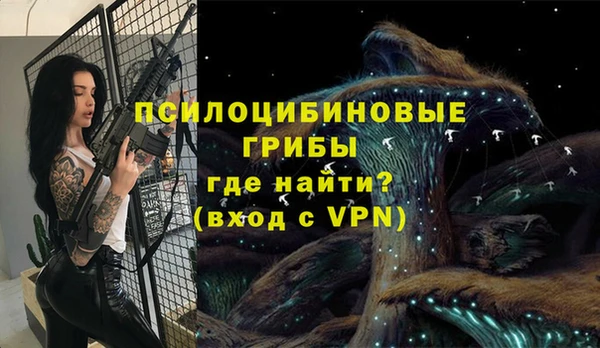 метамфетамин Богданович