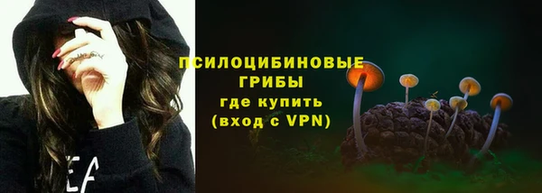 СК Богородск