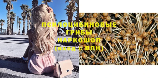 меф Богородицк