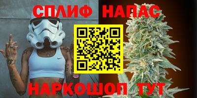 spice Бийск