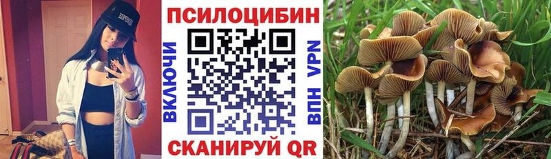 Галлюциногенные грибы мухоморы  hydra маркетплейс  Волжск  как найти наркотики 