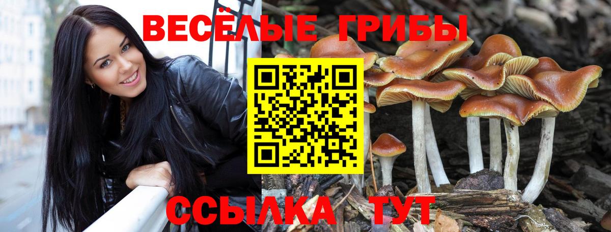Псилоцибиновые грибы мухоморы Волжск