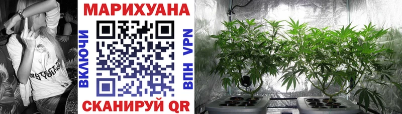 МАРИХУАНА SATIVA & INDICA  даркнет сайт  Волжск 